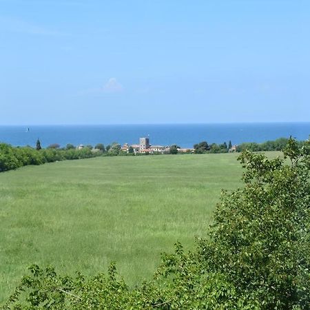 Apartmani Ritosa Novigrad Istria Exteriér fotografie