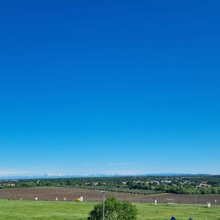 Apartmani Ritosa Novigrad Istria Exteriér fotografie